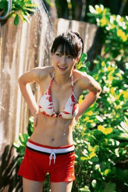 追捕者电视剧免费观看完整版